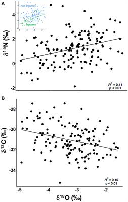 Functional Groups Mask Inter- and Intraspecific Variation in Water Use Strategies in a Seasonally Dry Tropical Forest